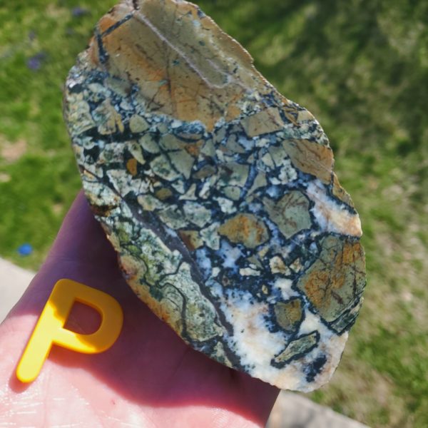 Dallasite - Specimen Rock P