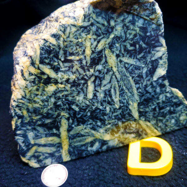 Pinolite - Specimen D