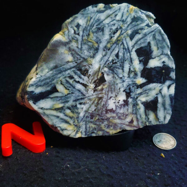 Pinolite - Specimen N