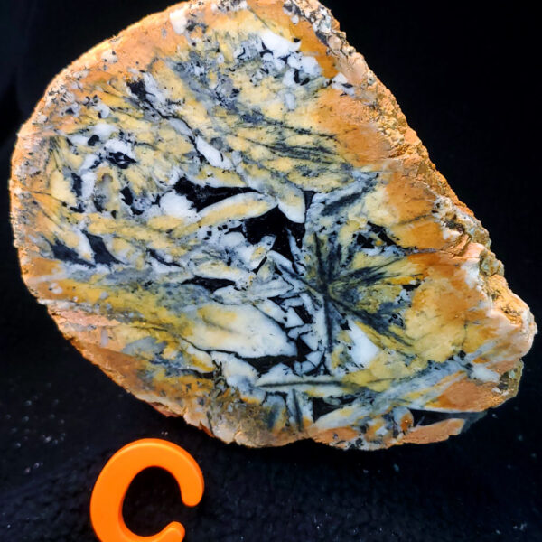 Pinolite - Specimen C