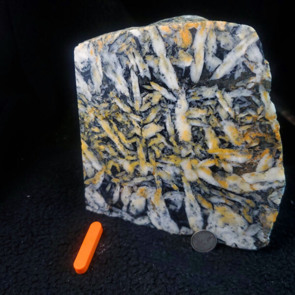 Pinolite - Specimen I