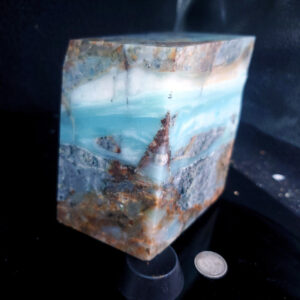 Special Specimen Rock D