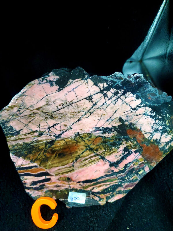 Rhodonite Specimen C