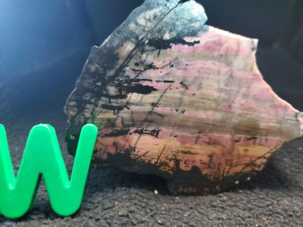 Rhodonite Specimen W