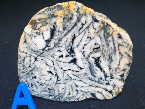 Pinolite slab A