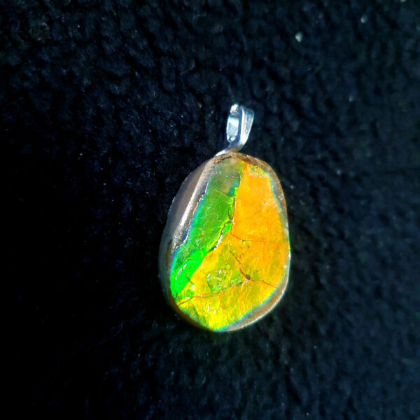 Ammolite Pendant E