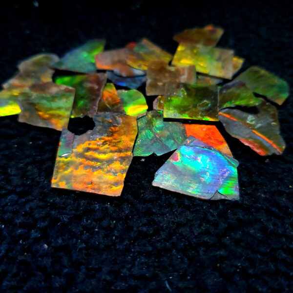 Ammolite Chip