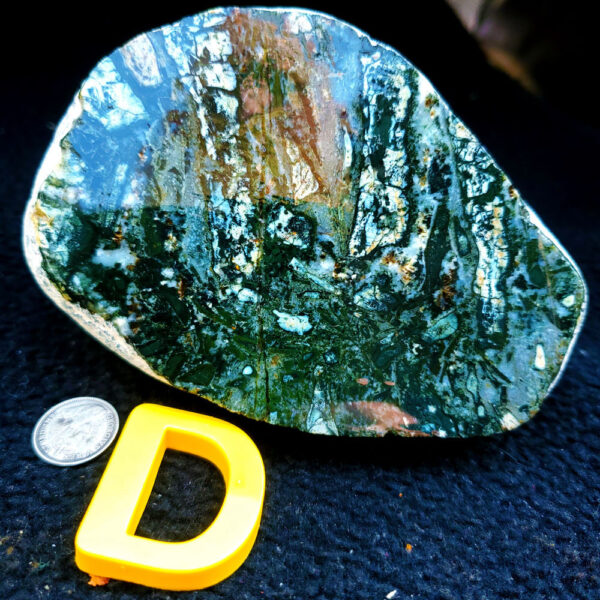 Dallasite - Specimen Rock D