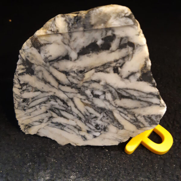 Pinolite - Specimen P