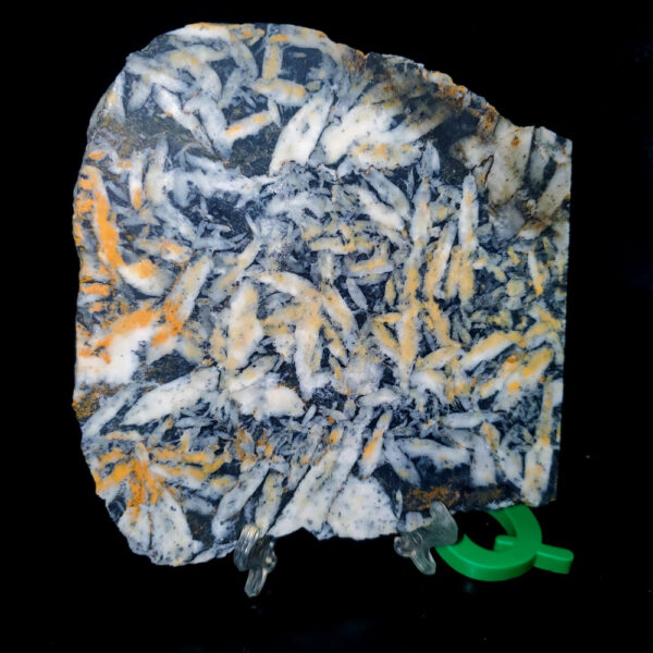 Pinolite slab Q