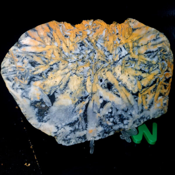 Pinolite slab W