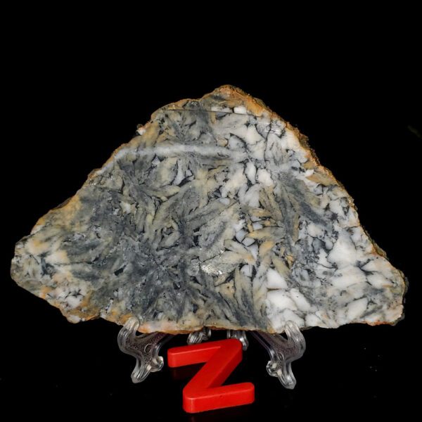 Pinolite slab Z