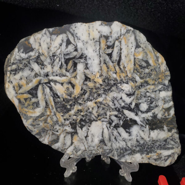 Pinolite slab H