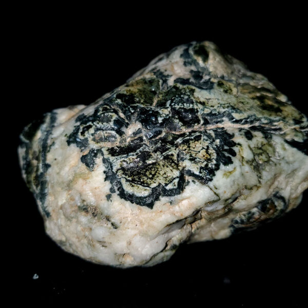 Dallasite - Uncut Specimen Rock B