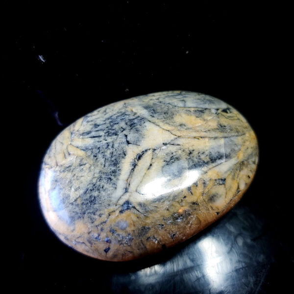 Pinolite Palm stone I