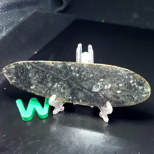 Jade slab W