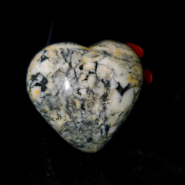 Pinolite Heart Palm stone C