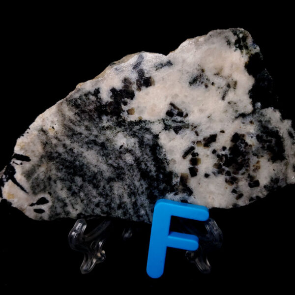 Sapphire Specimen F