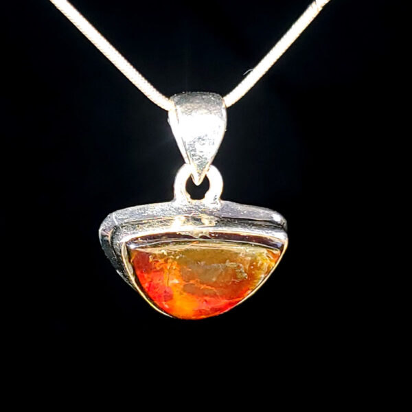 Ammolite Pendant D