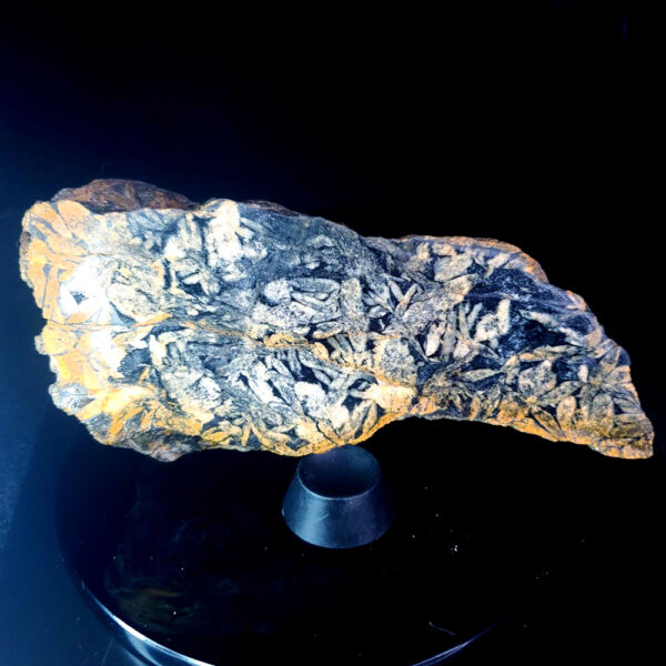 Pinolite - Specimen T