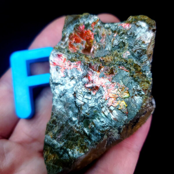 Ammolite Specimen - Small F