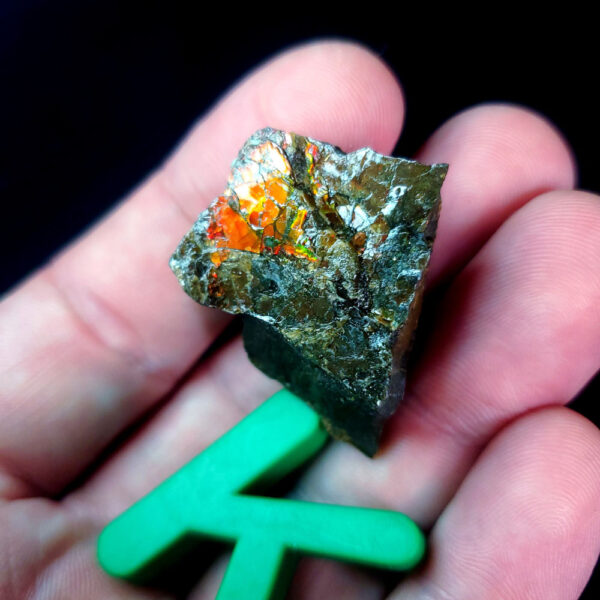 Ammolite Specimen - Small K