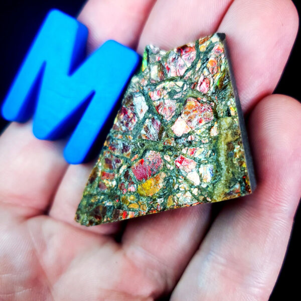 Ammolite Specimen - Small M