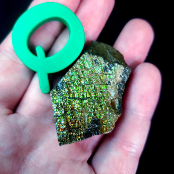 Ammolite Specimen - Small Q