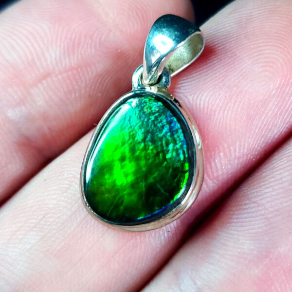 Ammolite Pendant N