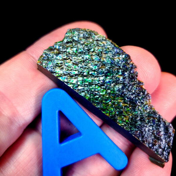 Ammolite Specimen - Small A