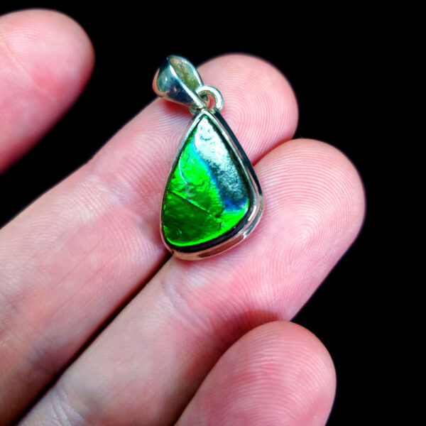 Ammolite Pendant F