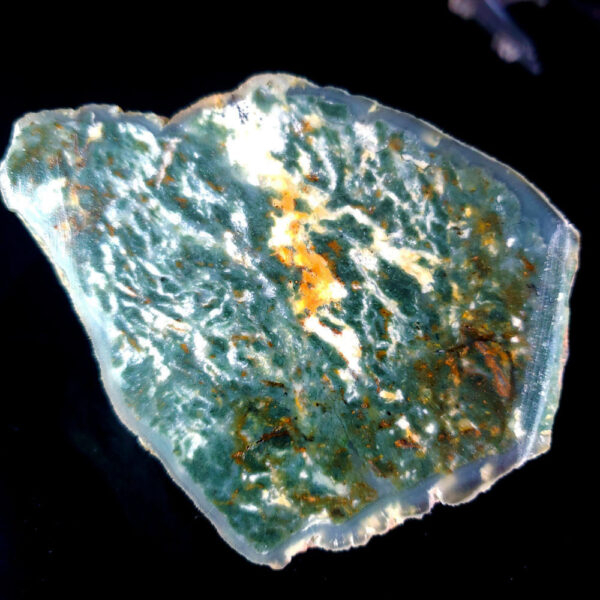 Forest Jasper