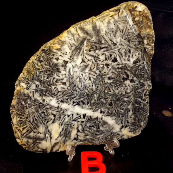 Pinolite slab B