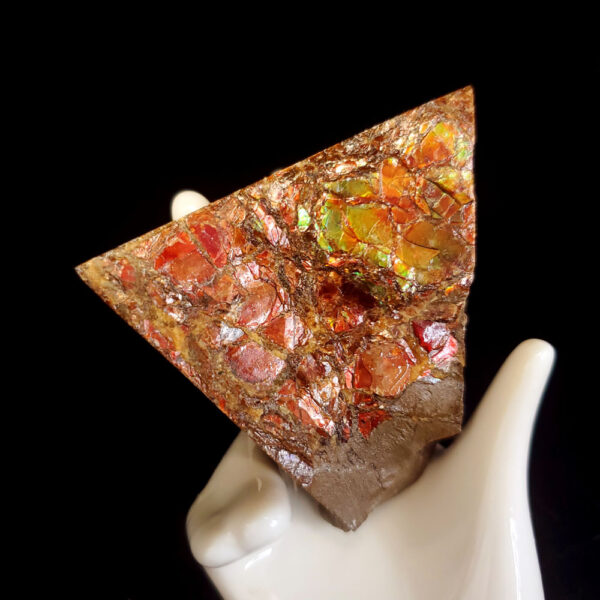 Ammolite Specimen - Small S