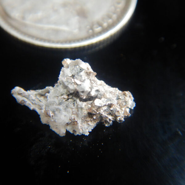 Silver specimen T