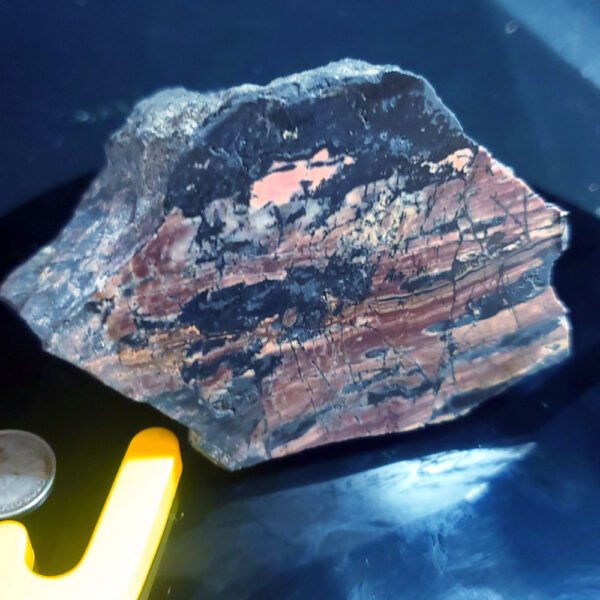 Rhodonite Specimen J