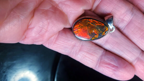 Ammolite Pendant B