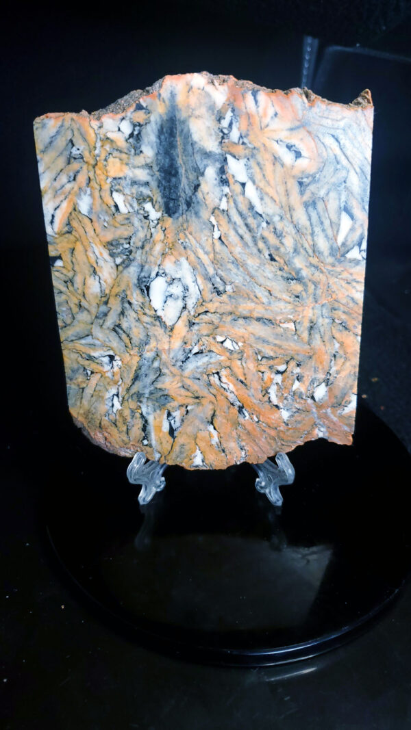 Pinolite slab O