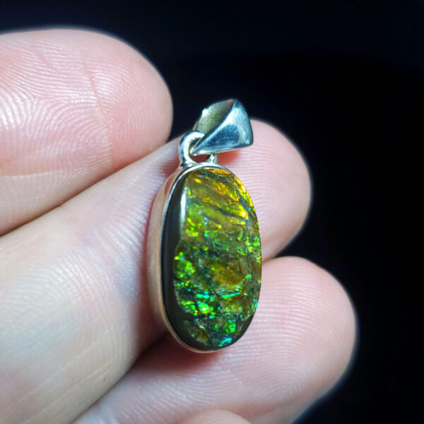 Ammolite Pendant C