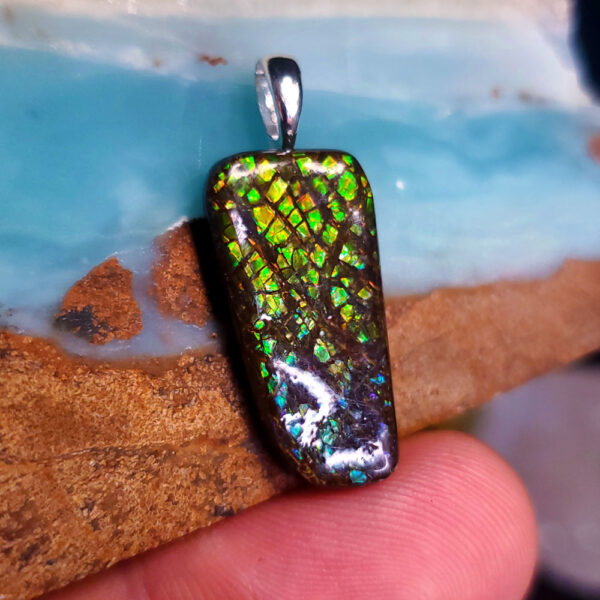 Ammolite Pendant Y