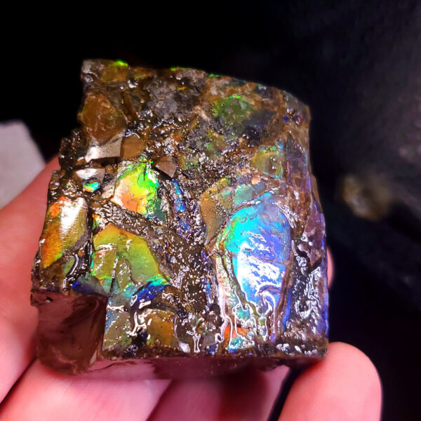 Ammolite Specimen I