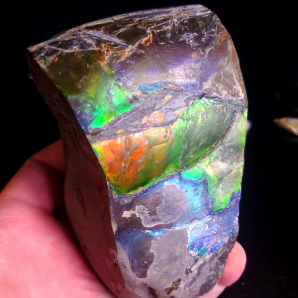 Ammolite Specimen C