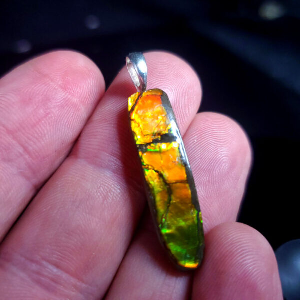 Ammolite Pendant M