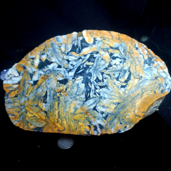 Discounted M rock - Pinolite