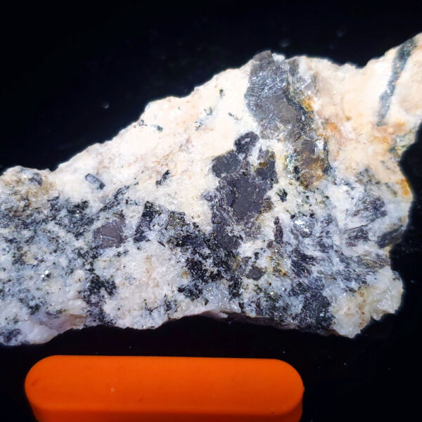 Sapphire Specimen I - from August 11 video