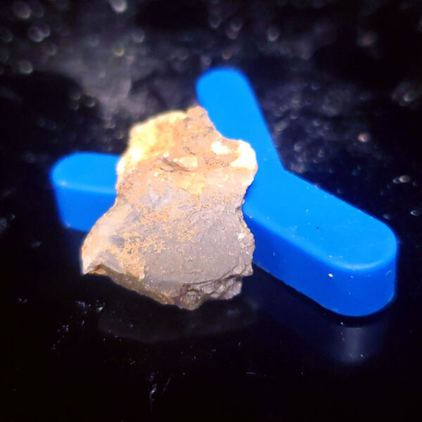 Sapphire Specimen Y - from August 11 video