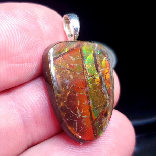 Ammolite Pendant X