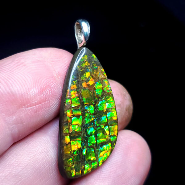 Ammolite Pendant U