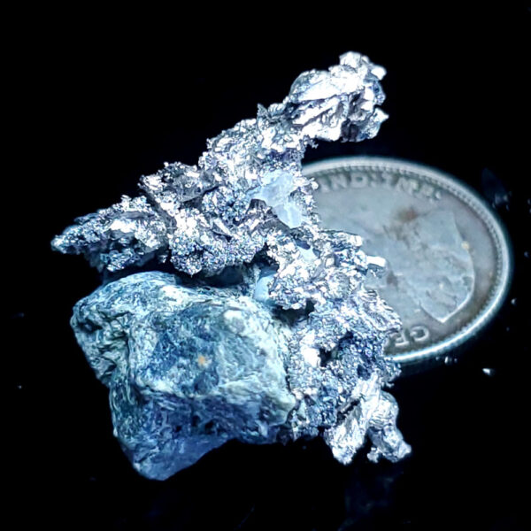 Silver specimen Y