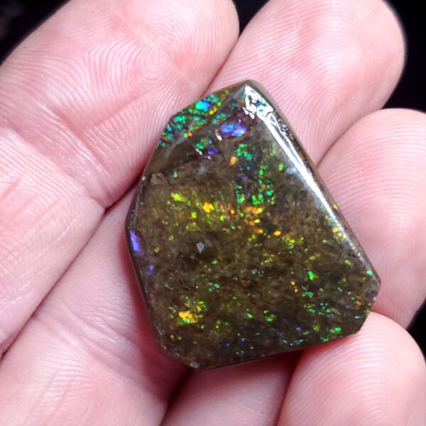 Ammolite Specimen - Small J